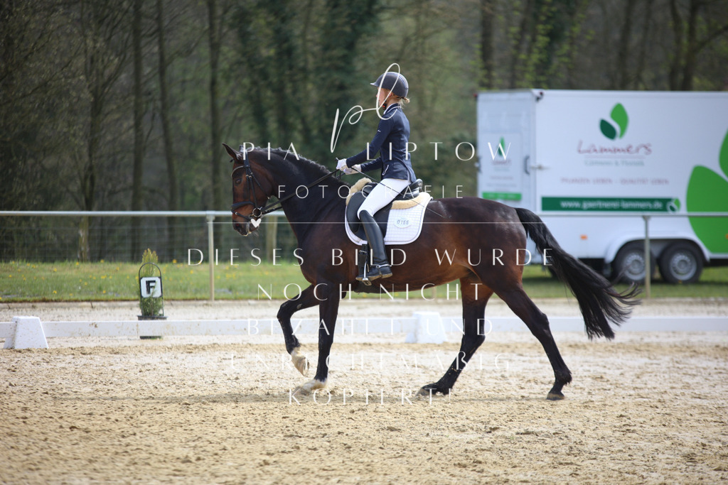 IMGT4970 | pl-fotografie