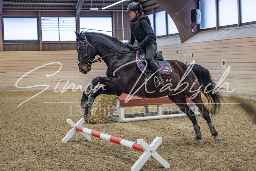 20260221-_3LI8262 | Tierfotografie Pferde, Hunde, Katzen, Haustiere.
Turnierfotografie Reitturniere, Reiten, Springreiten, Dressur in Hanau, dem Main-Kinzig-Kreis und dem Rhein-Main- Gebiet um Frankfurt