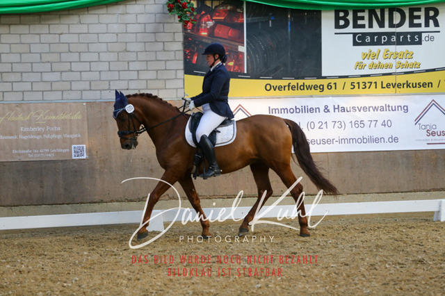 IMG_2689 | Turnierfotos kaufen im Webshop von Daniel Kuhl Photography – entdecke professionelle Reitsportfotos aus Turnieren & Events. Hochwertige Turnierbilder online bestellen & sichern. Jetzt Fotos von Reitsportturnieren kaufen!