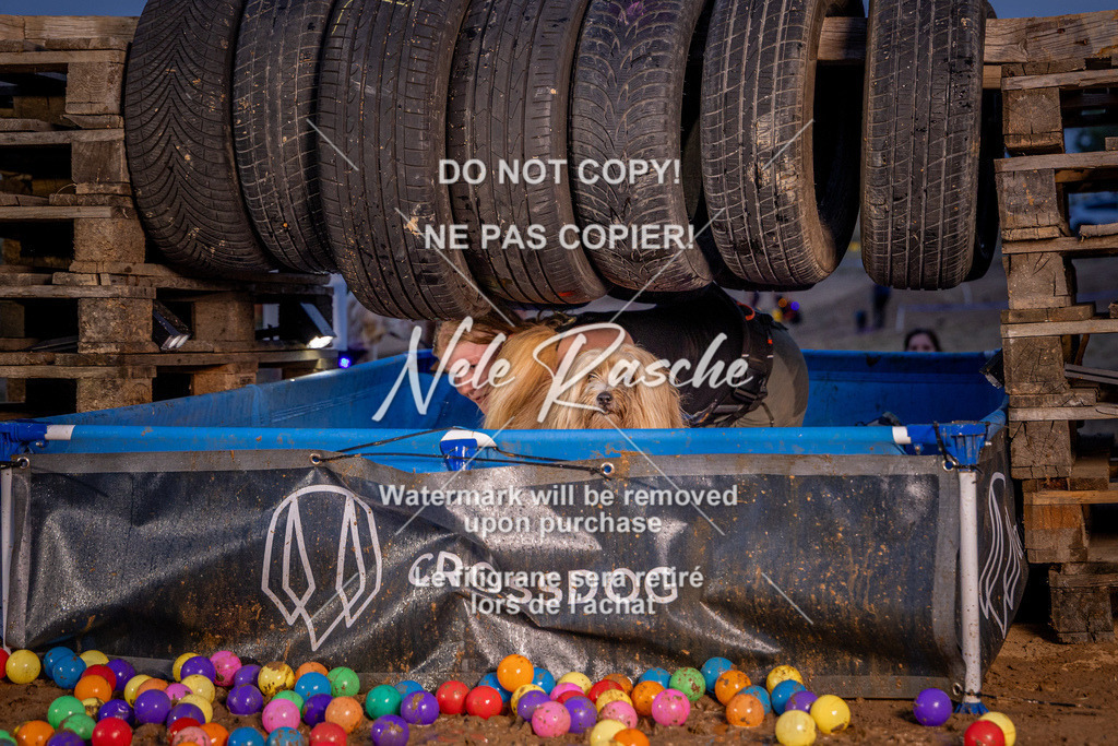 nelerasche_SummerNights26_Sa2100-2130_306 | nelerasche