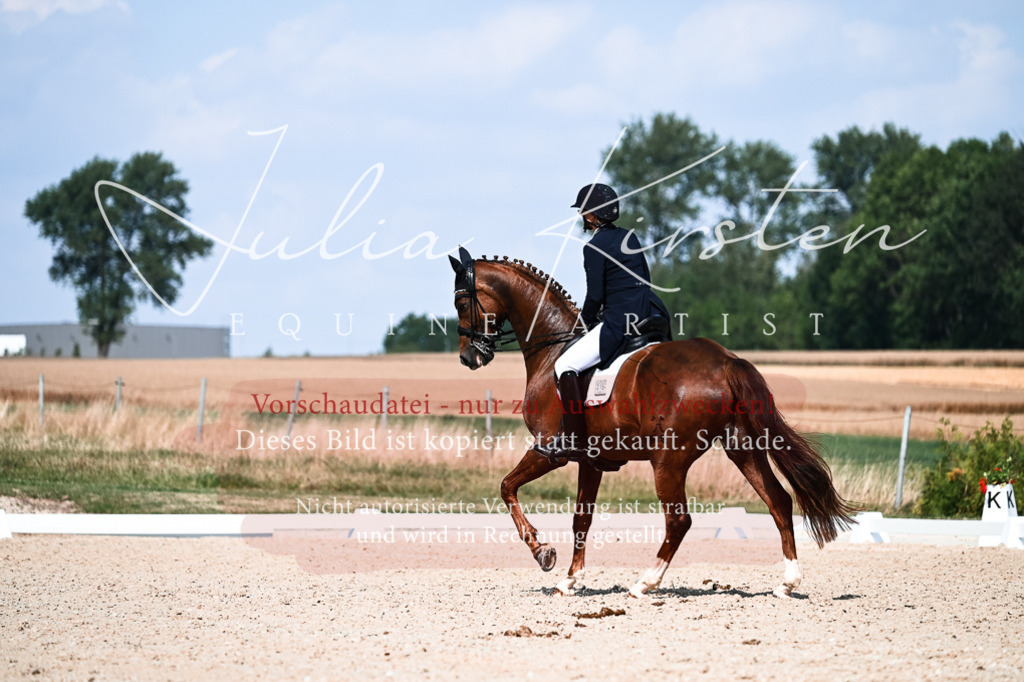 DSC_3215 | Pferde- und Turnierfotografie in Westsachsen. Pferdeportraits, Auftragszeichnungen und intuitive Kunst.