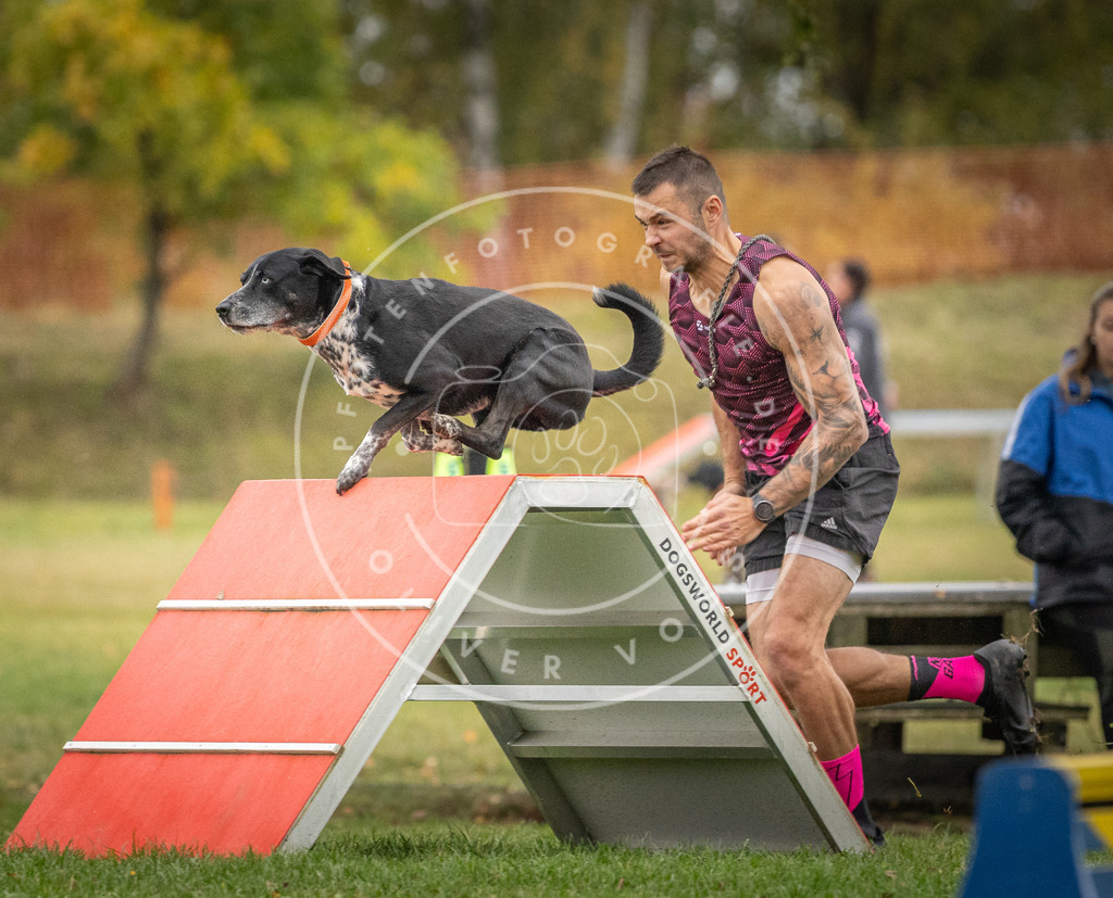 Pfotenfotografie_DV3A0268 | Hundefotografie, Tierfotograf, Pfotenfotografie, Fotoshooting Hund, Hunde Portrait, Hundesport, Hundeportraits, Heideshooting, Hunde, Sportfotograf, Hundefotograf, Turnierhundsport, THS,  - Realisiert mit Pictrs.com