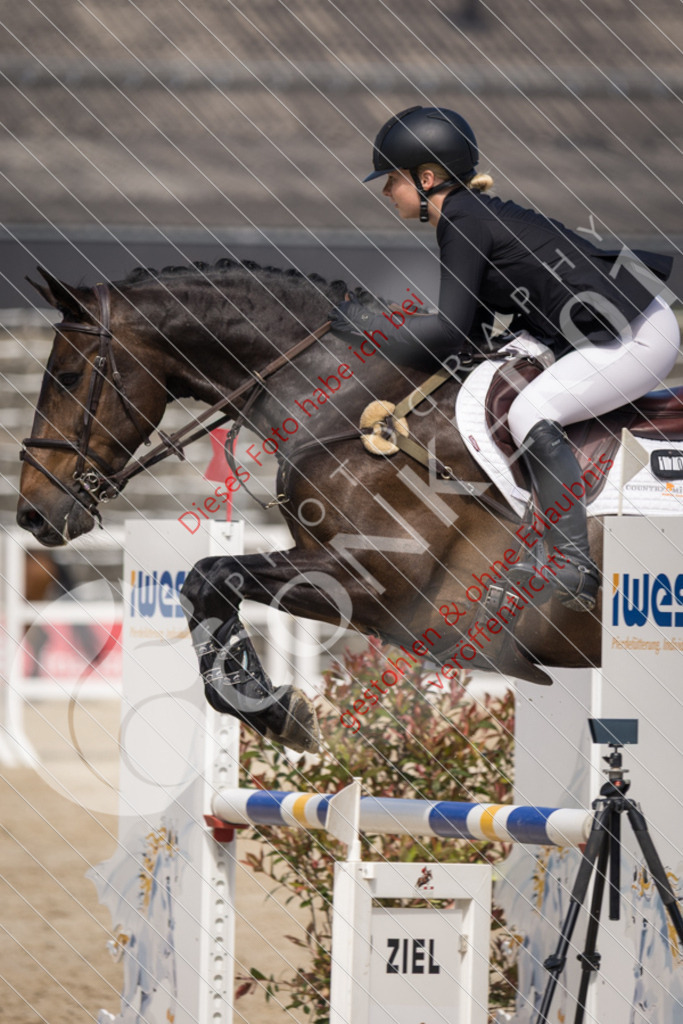 IMG_4881 | Sport-, Event- und Tierfotos in Profiqualität. Einfach auswählen, bestellen und herunterladen. Dein Moment – perfekt festgehalten.