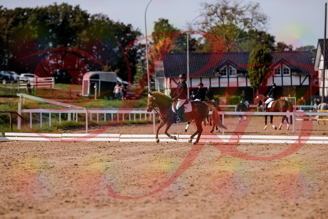 2026_10_03_Siefer-Hof_122243_Z81_21964337 | Professionelle Reitsport-, Turnier- und Eventfotografie von Robert Broda. Galerien mit ausgewählten und bearbeiteten Bildern direkt online ansehen und bestellen.