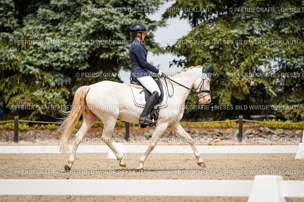 DSC04168 | Pferdegrafie