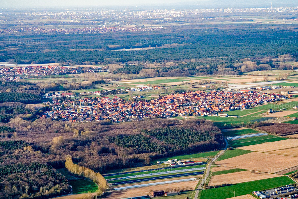 Luftbild: Ortsansicht von Süden in Harthausen im Bundesland Rheinland-Pfalz in Deutschland. Foto: IMG_9984.jpg vom 29.03.2008 durch Werner Riehm/FLY-FOTO.de