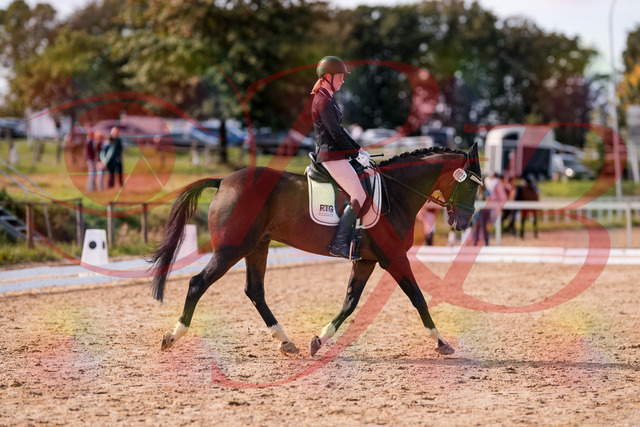 2026_10_03_Siefer-Hof_132532_Z81_76539794 | Professionelle Reitsport-, Turnier- und Eventfotografie von Robert Broda. Galerien mit ausgewählten und bearbeiteten Bildern direkt online ansehen und bestellen.
