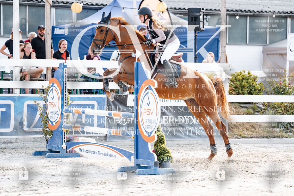 CK906343 | Turnierfotografie Pferdefotografie Trier Rheinland-Pfalz Pferdesport Reitsport Tierfotografie Sportfotografie Pferdevideo Pferdevideografie Equestrianvideography equestrianphotography  - Realisiert mit Pictrs.com