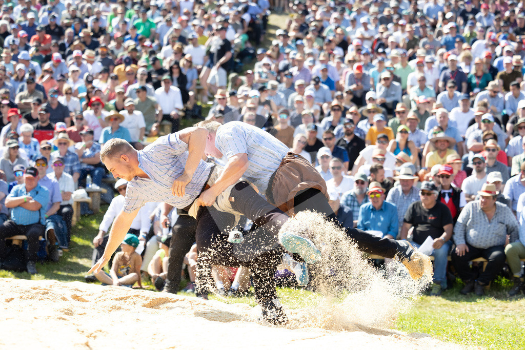 Rigi2025_2505 | Die Schwinger des Schwyzer Kantonalen Schwingerverbandes: Fotos, die Dynamik und Leidenschaft festhalten, sowie emotionale Momente aus dem traditionellen Schwingsport zeigen. - Realisiert mit Pictrs.com