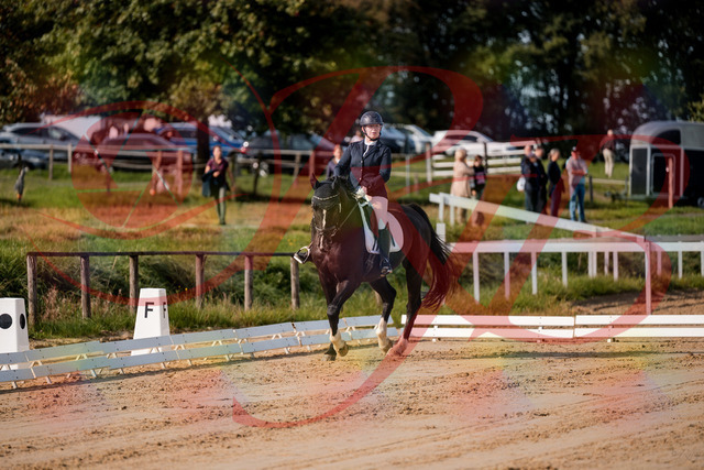 2026_10_03_Siefer-Hof_113454_Z63_20604316 | Professionelle Reitsport-, Turnier- und Eventfotografie von Robert Broda. Galerien mit ausgewählten und bearbeiteten Bildern direkt online ansehen und bestellen.