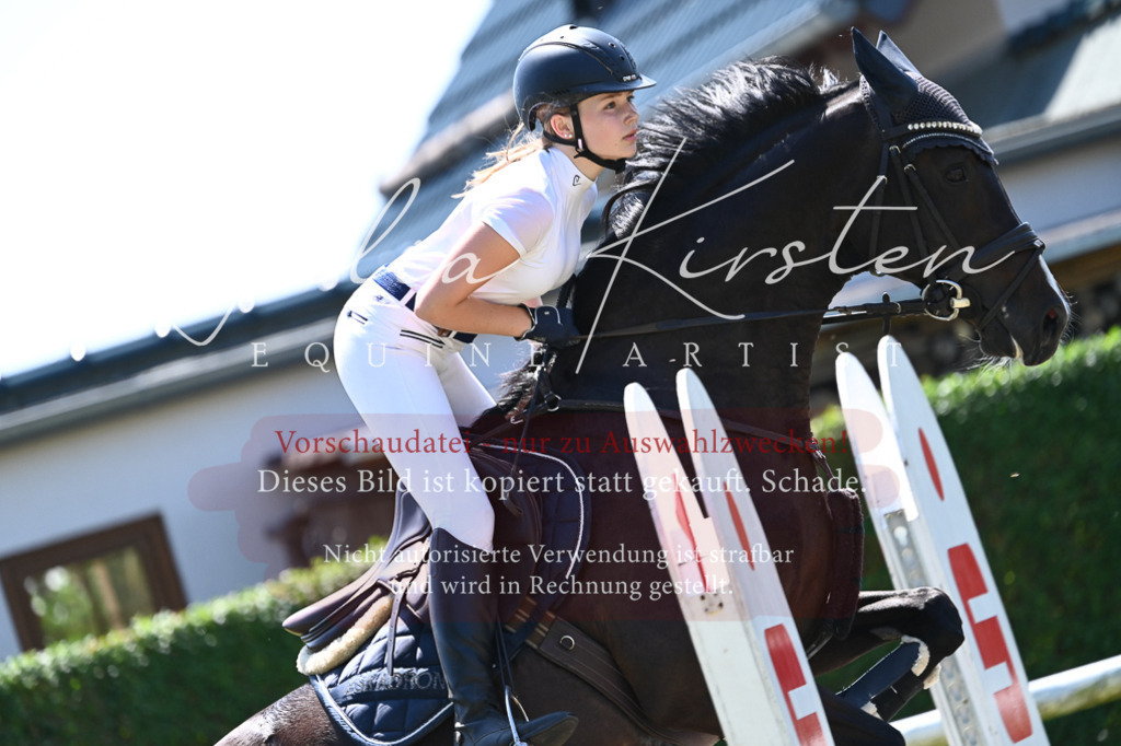 DSC_0746 | Pferde- und Turnierfotografie in Westsachsen. Pferdeportraits, Auftragszeichnungen und intuitive Kunst.