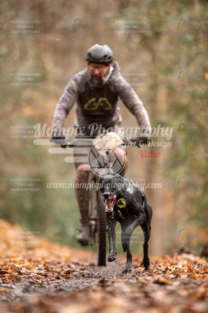 SPA_2023_DIM_Bike-36 | PayLife