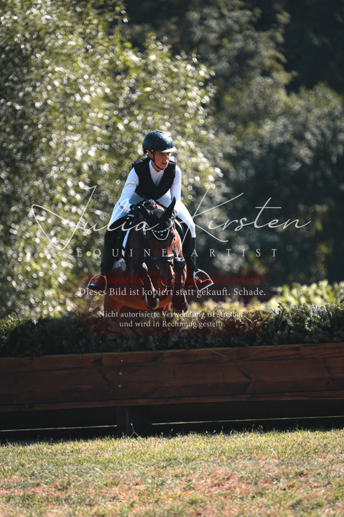 DSC_8269 | Pferde- und Turnierfotografie in Westsachsen. Pferdeportraits, Auftragszeichnungen und intuitive Kunst.