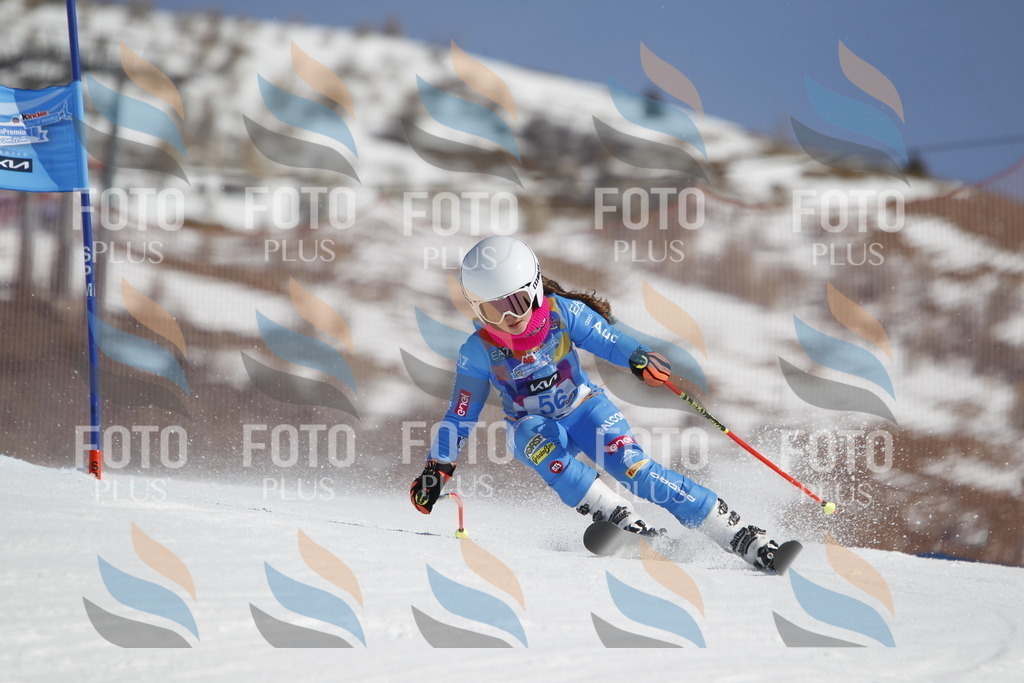 _U3G9518 | holidayphoto