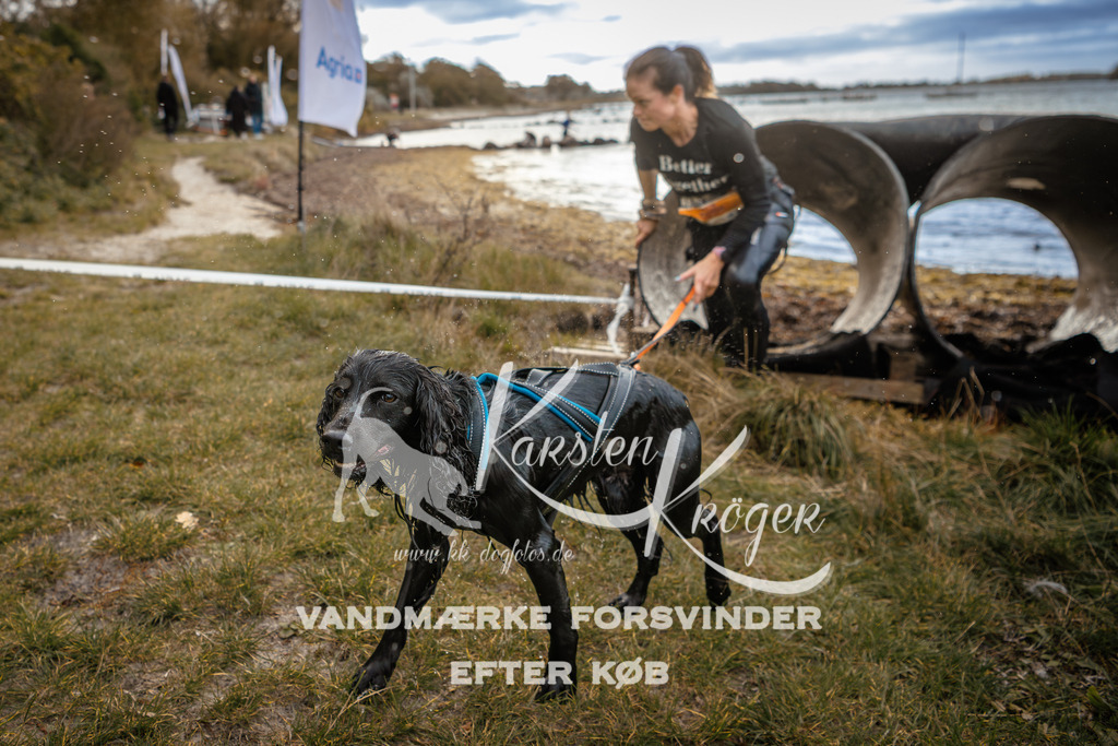 0916_ZZ96561 | kk-dogfotos