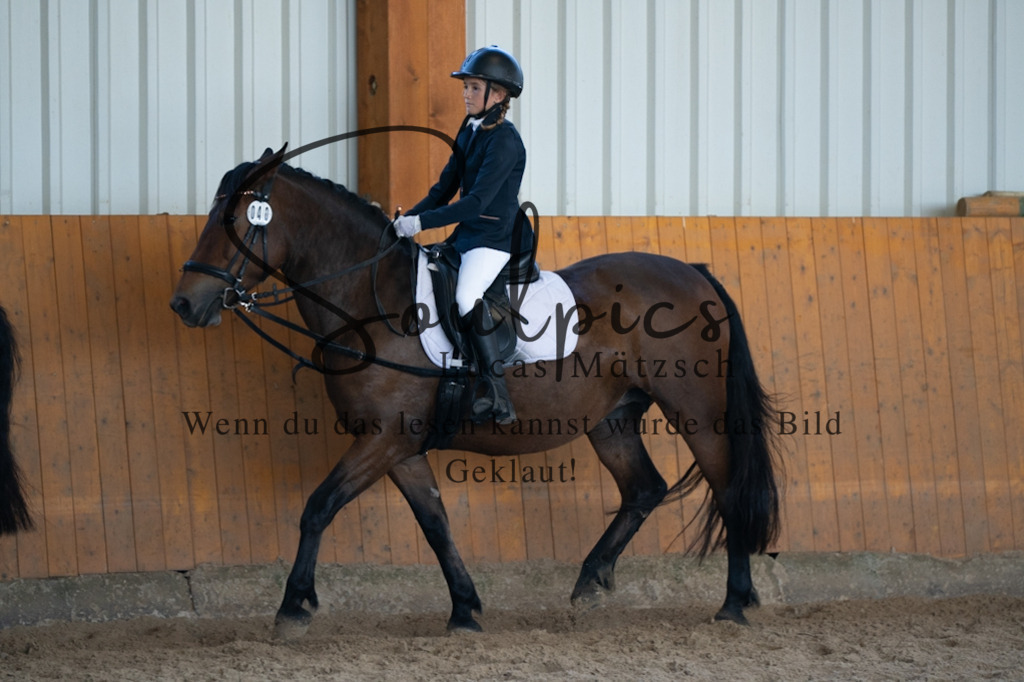 A7V02099 | Turnier/Reitfotograf