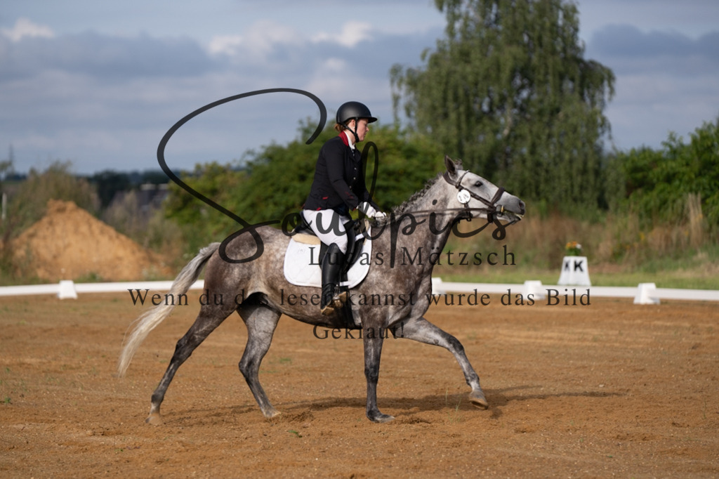 A7V03755 | Turnier/Reitfotograf