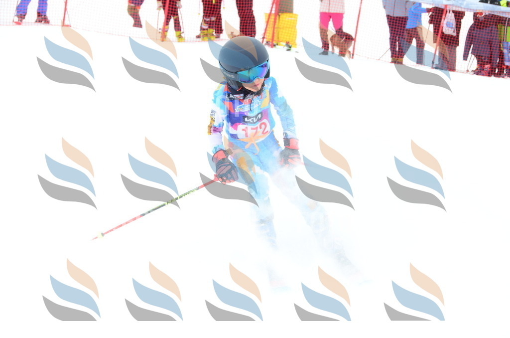 DSC_1623 | holidayphoto