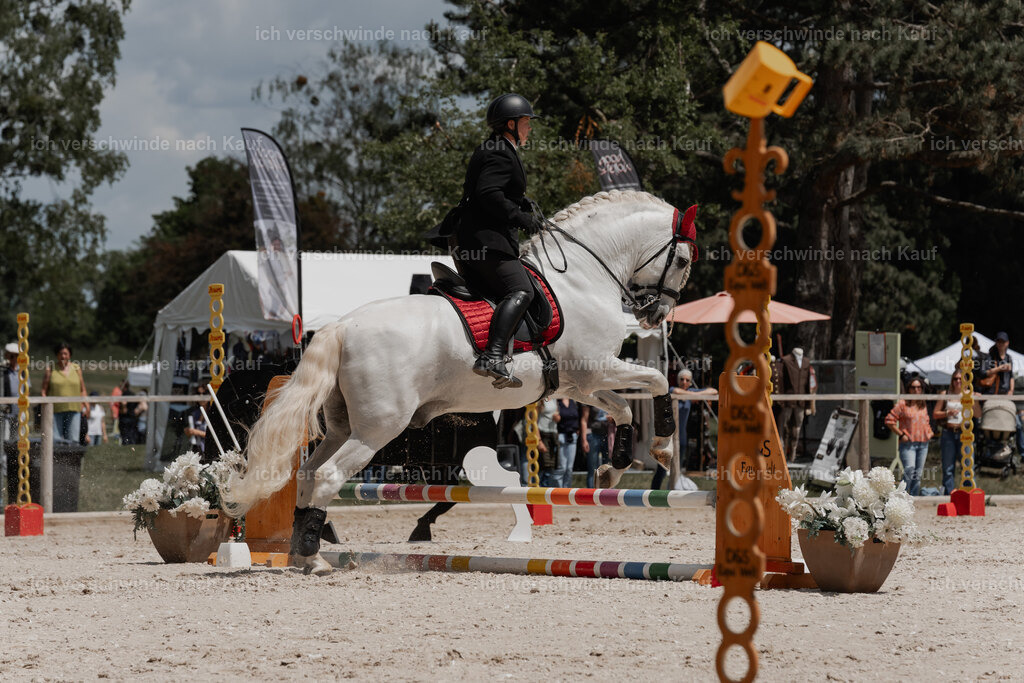 WE_ST_Stoib_307_PI2025_1162 | Pferd International München 2025