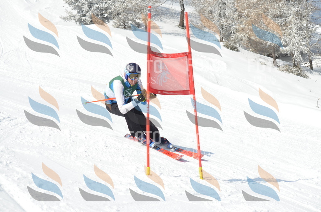 D8954 | holidayphoto