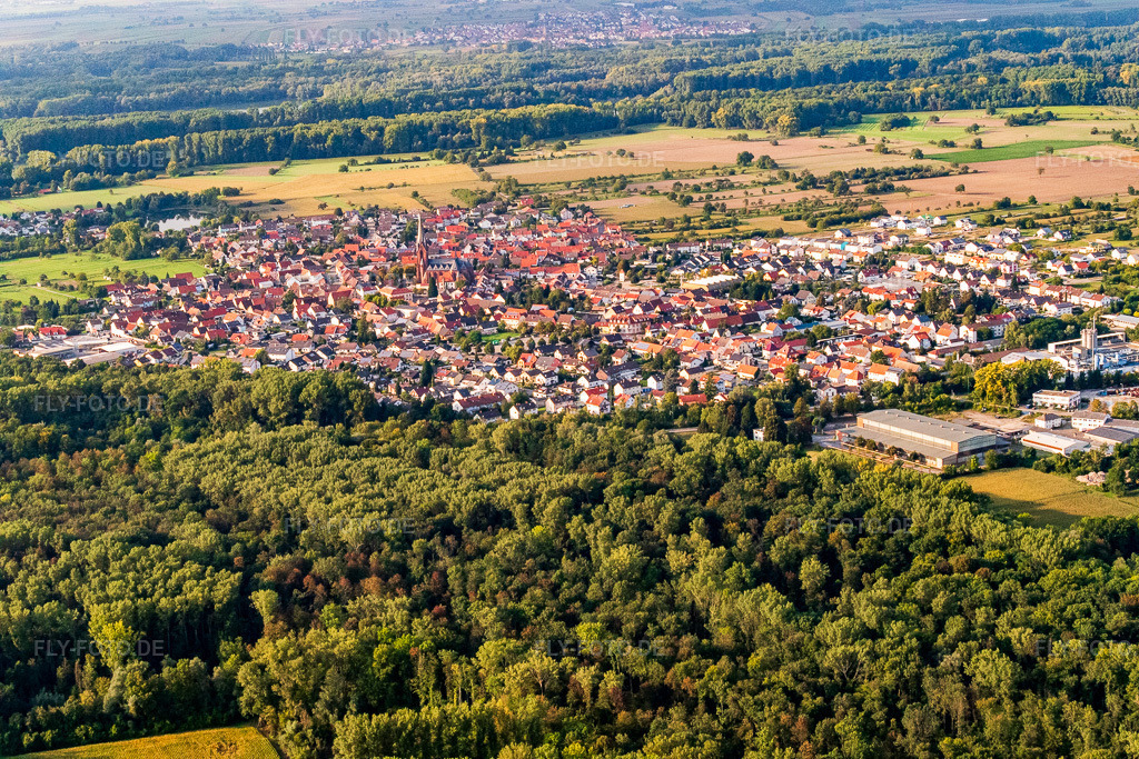 Luftbild: Ortsansicht von Süden im Ortsteil Rheinsheim in Philippsburg im Bundesland Baden-Württemberg in Deutschland. Foto: P1000790.jpg vom 14.09.2014 durch Werner Riehm/FLY-FOTO.deAuflösung des Originals: 5472 x 3648 px