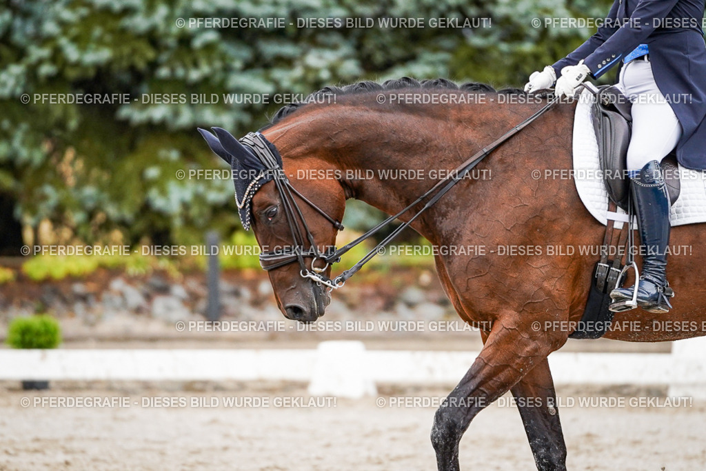 DSC00090 | Pferdegrafie