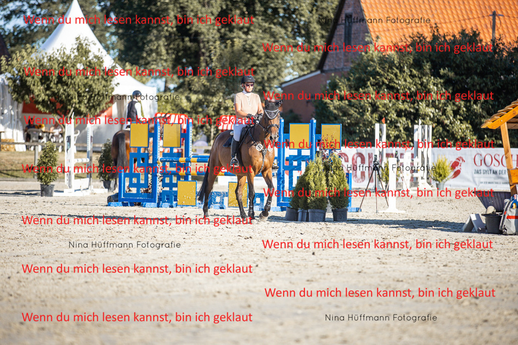 BK1A7793 | Turnierbilder Turnierfotos Nina Hüffmann Turnierfotografie Pferdefotografie Tierzeichnung Haustierzeichnung Pferdezeichnung Hundezeichnung Videograf  - Realisiert mit Pictrs.com
