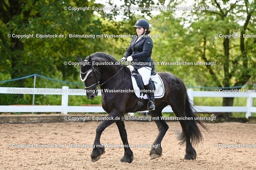 20230716_04_Dressurreiterprüfung Kl.A_0391 | equistock