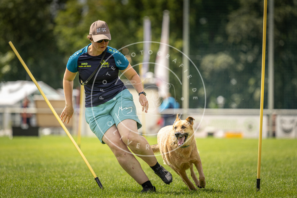 Pfotenfotografie_DV3A4348 | Hundefotografie, Tierfotograf, Pfotenfotografie, Fotoshooting Hund, Hunde Portrait, Hundesport, Hundeportraits, Heideshooting, Hunde, Sportfotograf, Hundefotograf, Turnierhundsport, THS,  - Realisiert mit Pictrs.com