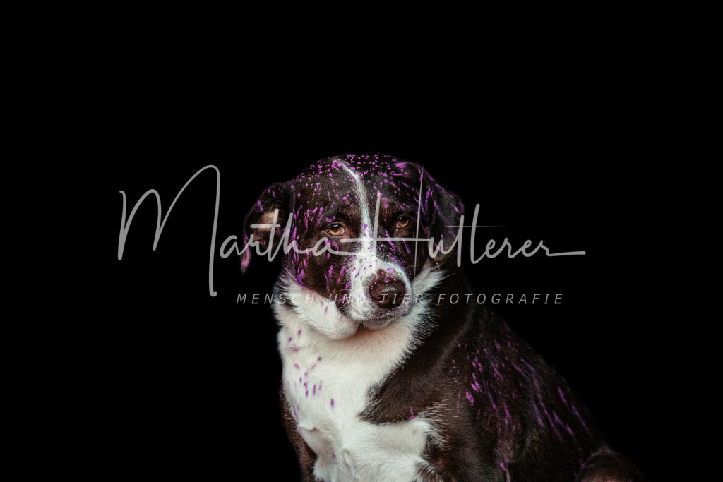 Holi Pulver Shooting | Holi Pulver Fotografie mit ganz viel Spaß 