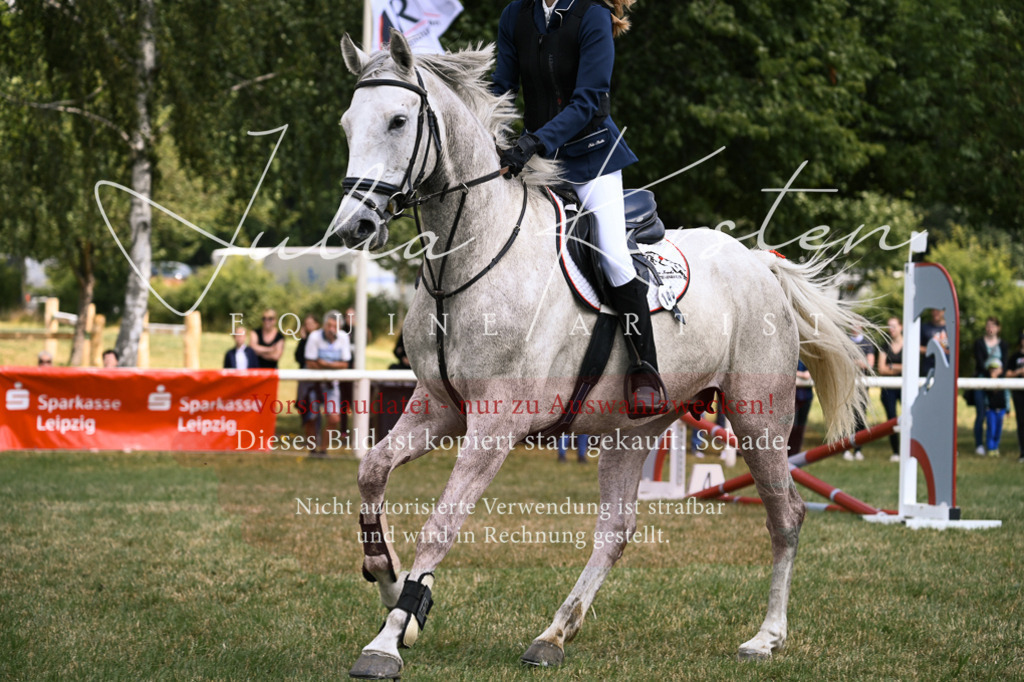 DSC_9301 | Pferde- und Turnierfotografie in Westsachsen. Pferdeportraits, Auftragszeichnungen und intuitive Kunst.