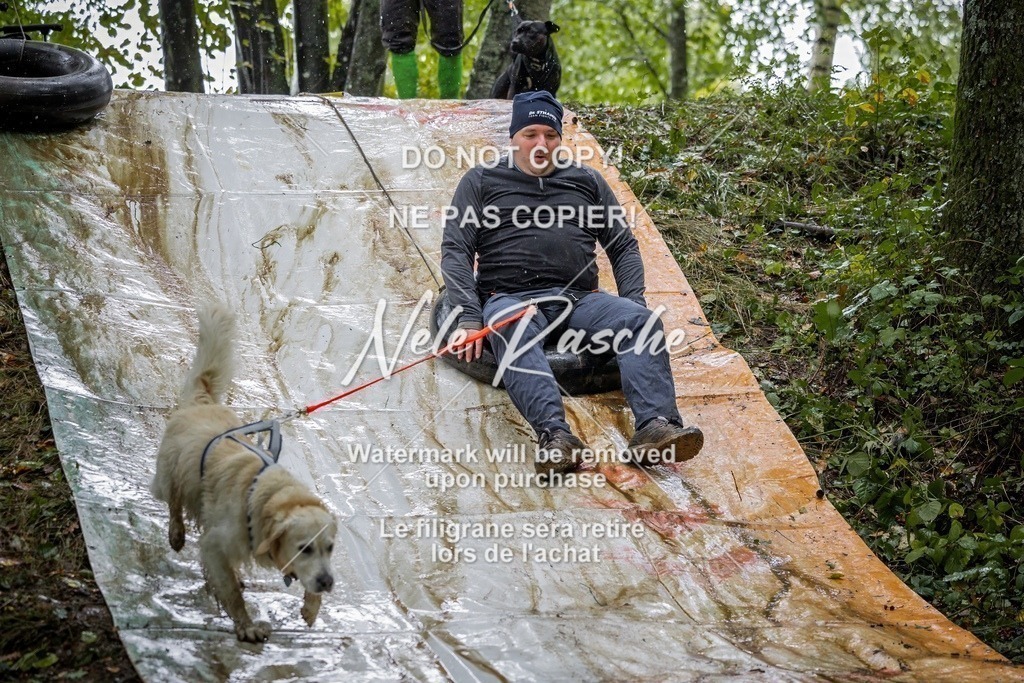 nelerasche_Hunsrück_Sa1300-1400_225-final | nelerasche