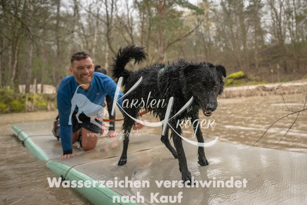 1053_ZZ93714-Bearbeitet | kk-dogfotos