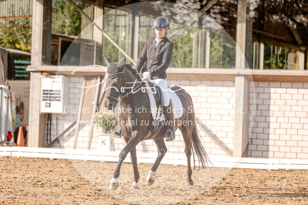 3I6A2575 | Stimmungsvolle Portraits und Reitsportfotografie im Ruhrgebiet und im Münsterland.

Pferdefotografie, Hundefotografie, Tierfotografie, Reportagen, Portraits von Tier und Mensch, Turnierfotografie in Bochum, Recklinghausen, Marl, Haltern am See, Dülmen.. - Realisiert mit Pictrs.com