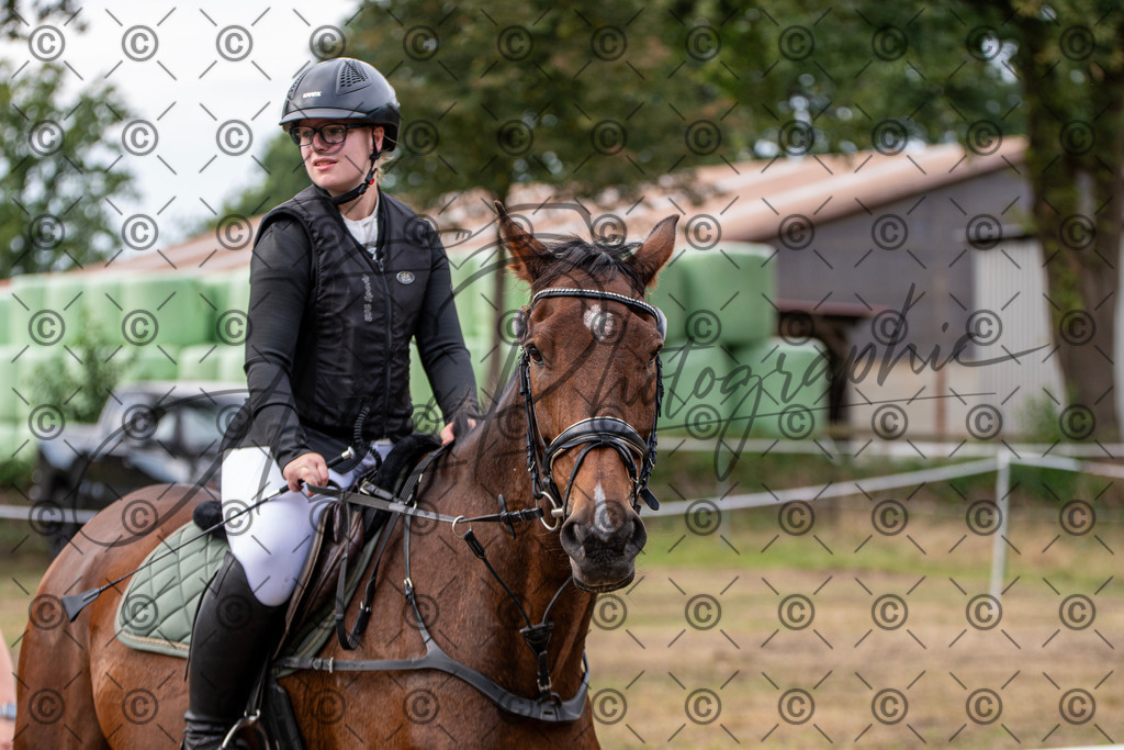 SHT_7526 | andre_photographic