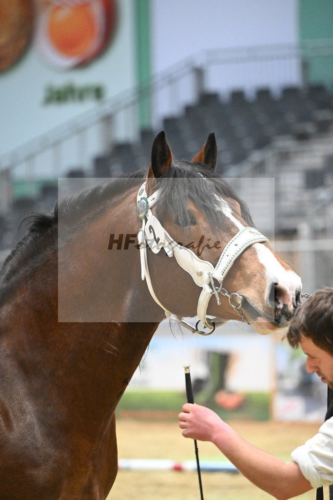 Kat-Nr. 2 Spitzingsee v. Schwanstein_Holl_1260032 | hf-fotografie - Realisiert mit Pictrs.com