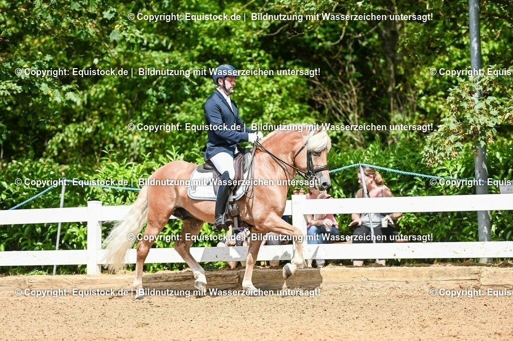 20230716_01_Dressurprüfung Kl.M_0141 | equistock