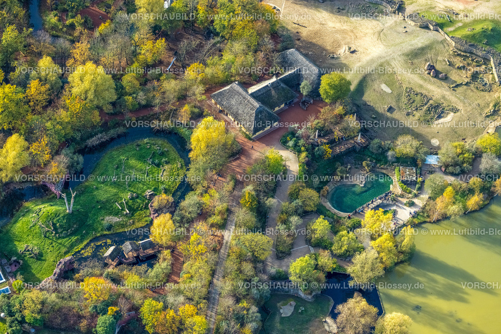 Gelsenkirchen221101694suedlich | Luftbild, ZOOM Erlebniswelt Zoo, Bismarck, Gelsenkirchen, Ruhrgebiet, Nordrhein-Westfalen, Deutschland