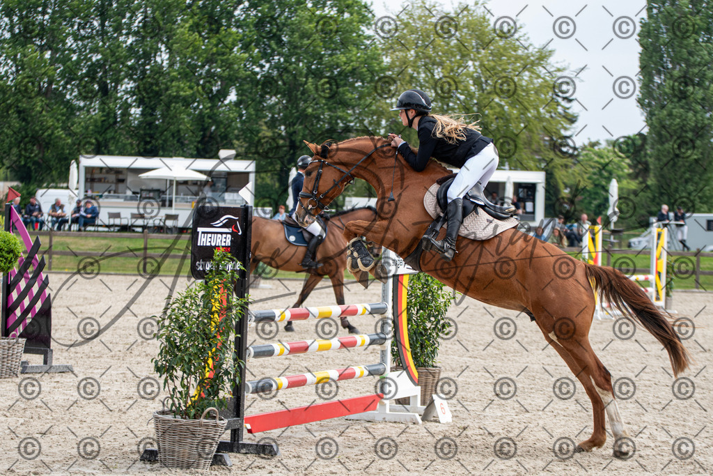 KPT_2529 | andre_photographic