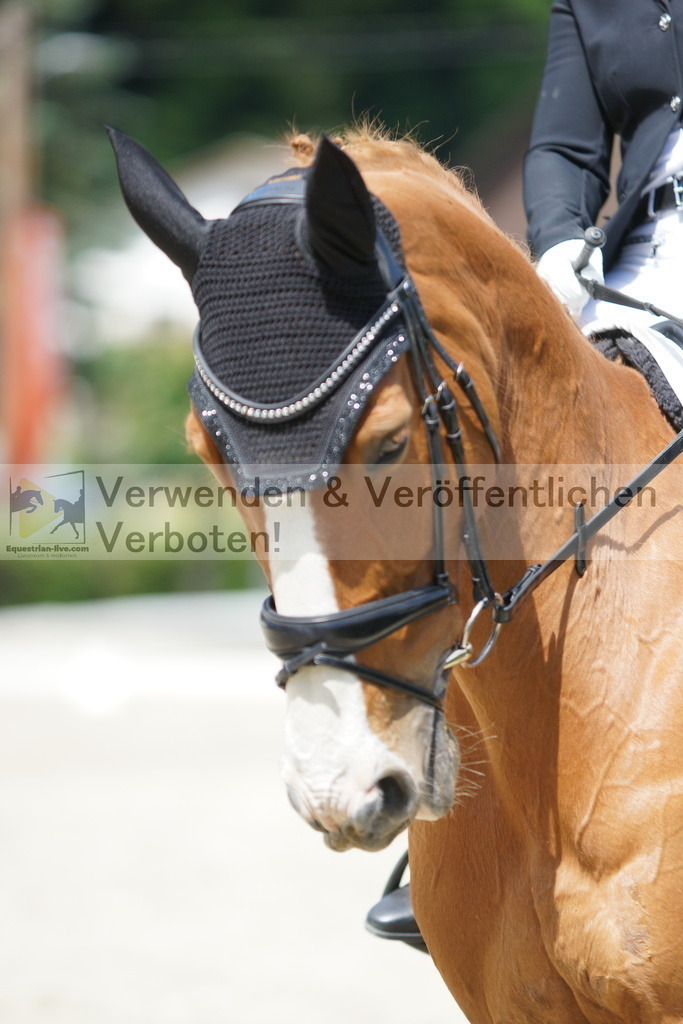 DSC05303 | equestrian-live-com