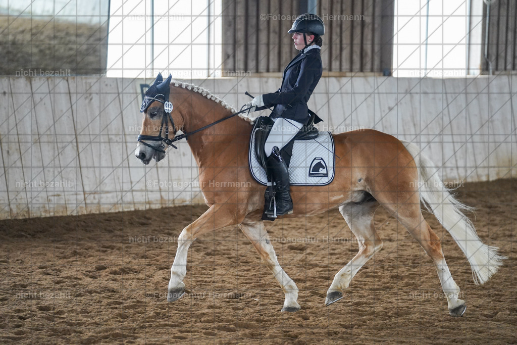 20230520-FAH05146 | Frühjahrsturnier, Landsberg am Lech, 2023, Reitclub Landsberg, Turnierbilder, Fotos Turnier Landsberg, Fotoagentur Herrmann, Turnierfotografen Bayern, Reitsport Fotograf, Pferde Fotograf