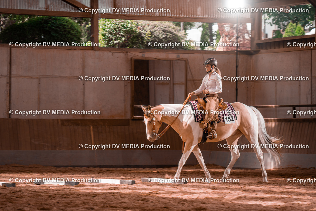 NE100553 | dv-media-shop - Realisiert mit Pictrs.com