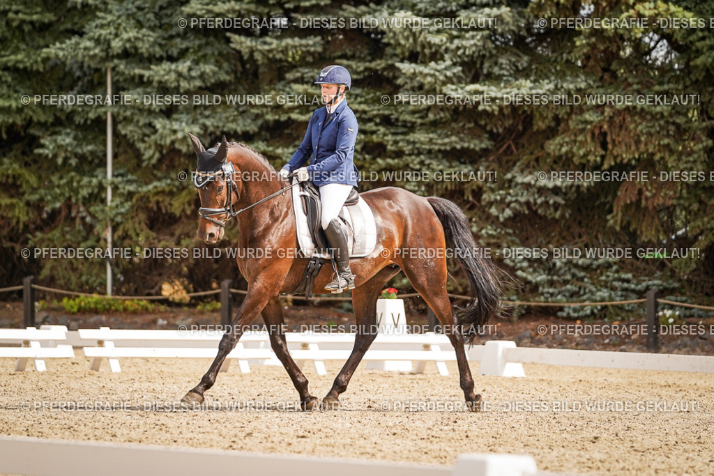 DSC01400 | Pferdegrafie