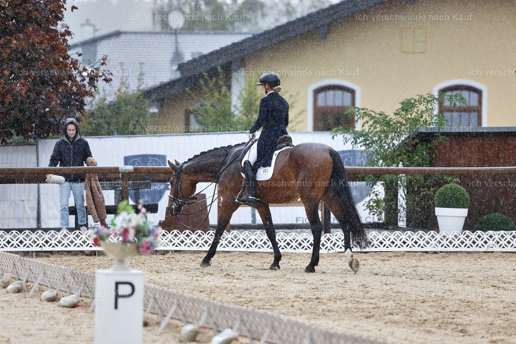 8_1-001-Klasse S_  -StoibPH-3981 | working equitationturnier fotograf videograf stoibphotography marixx film working equitation deutschland reitsport turnierfotografie eventfotografie equestrian events