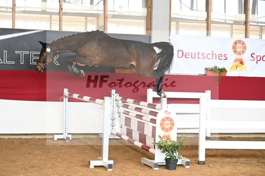 Kat-Nr. 28 Carassina S v. Chinchero_Schaefer_7250760 | hf-fotografie - Realizzato con Pictrs.com