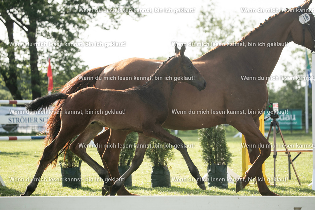 598A7274 | photographylinaismer - Realisiert mit Pictrs.com