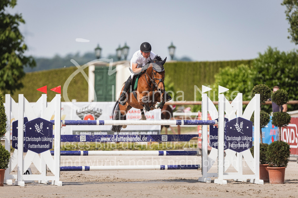 250531_MayDays_M2-Springen-512 | Deine schönsten Turniermomente als professionelle Fotos! Entdecke hochwertige Pferdesport-Fotografie im Online-Shop. Jetzt Fotos finden & bestellen!