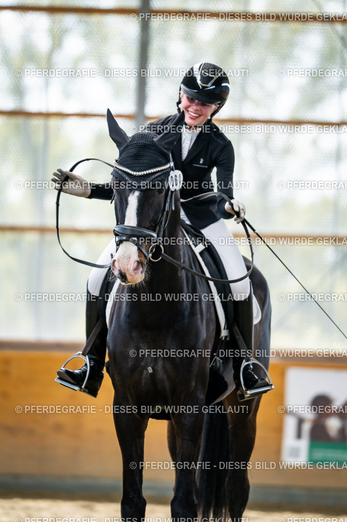 DSC05977 | Pferdegrafie