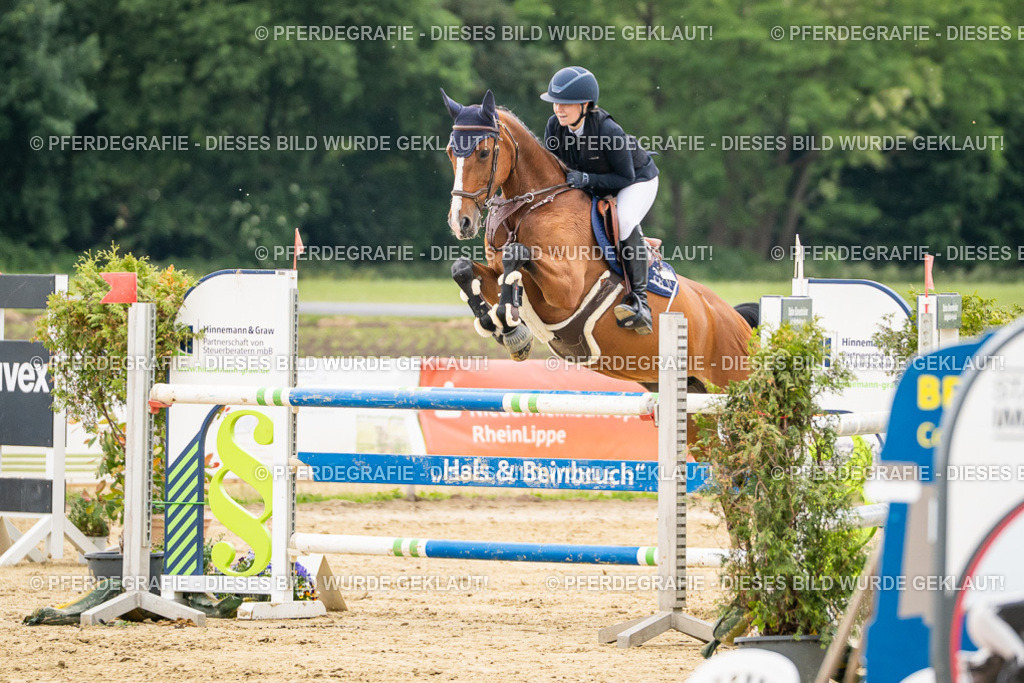 DSC06260 | Pferdegrafie