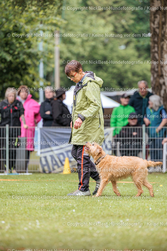 RO-Blumenthal-2026-Nickbest-Hundefotografie-3502 | Dein Hund! Dein Moment! Deine Erinnerungen! Hundefotografie in Bremen Blumenthal. Ich fange die besonderen Momente deines Vierbeiners ein – ob Indoor mit Blitzanlage oder in der freien Natur. Sicher dir dein Moment und dein Termin für eure Erinnerungen.